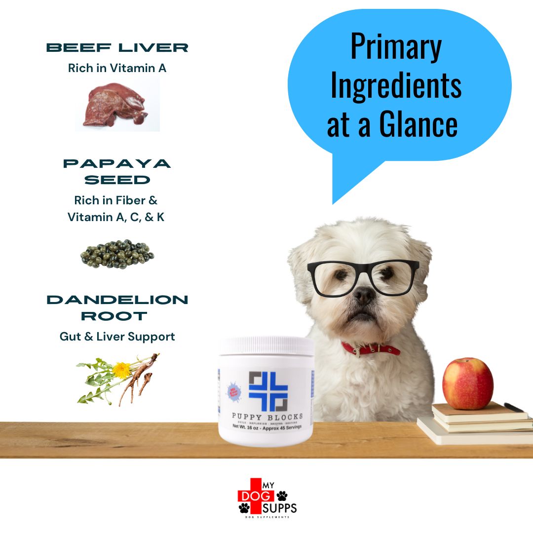 Amino Acids for Dogs