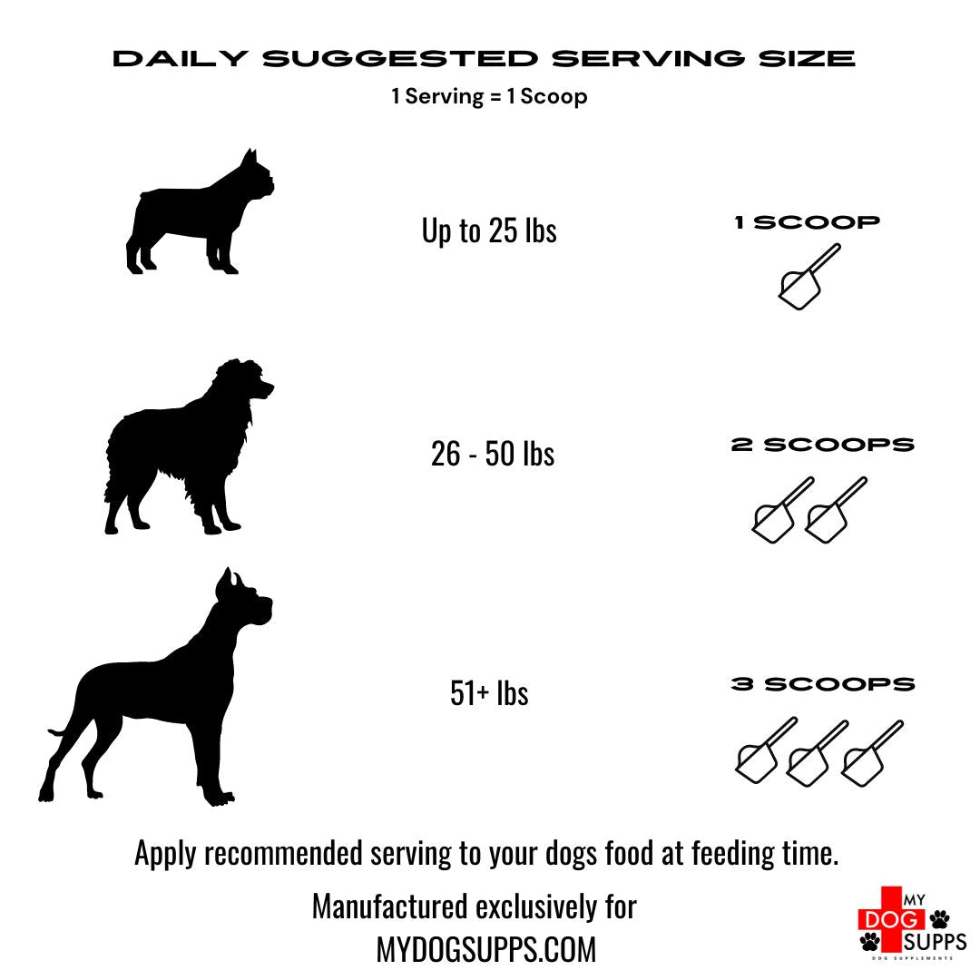Amino Acids for Dogs