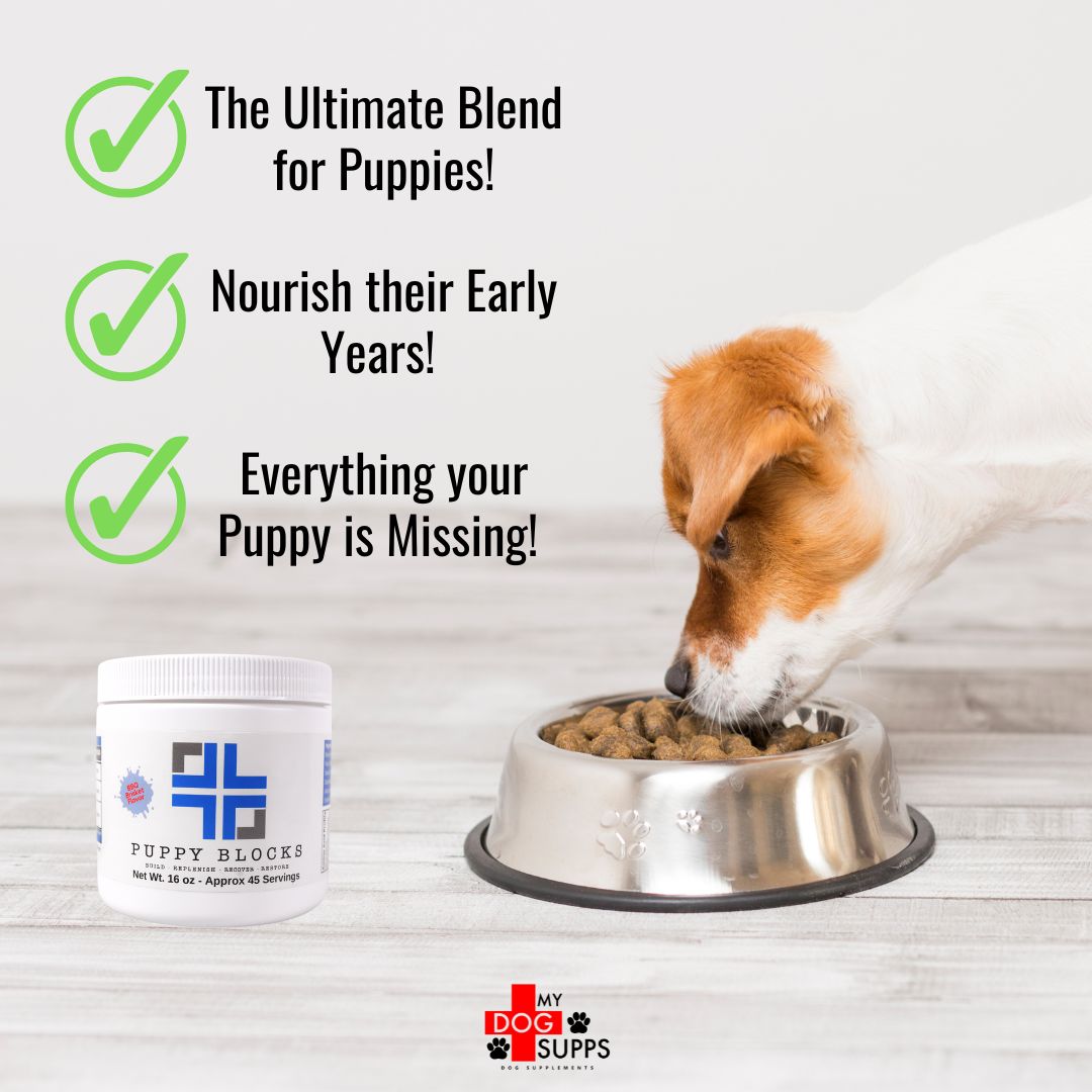 Amino Acids for Dogs