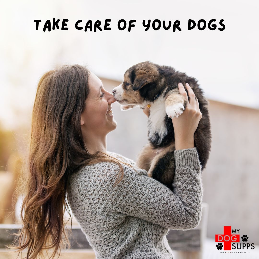Amino Acids for Dogs