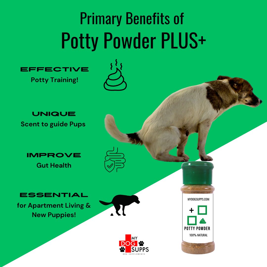 NEW Potty PLUS+