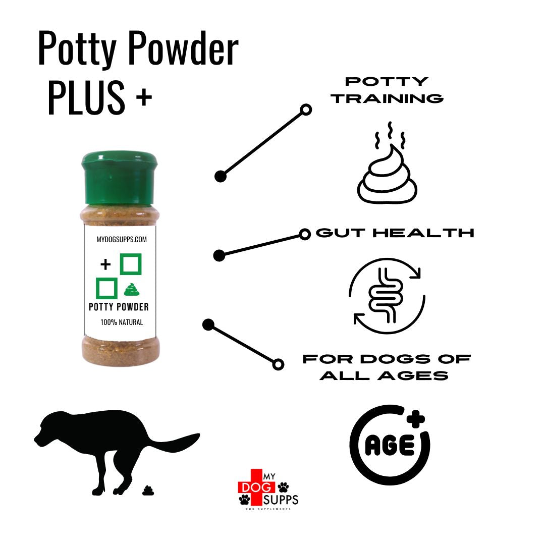NEW Potty PLUS+