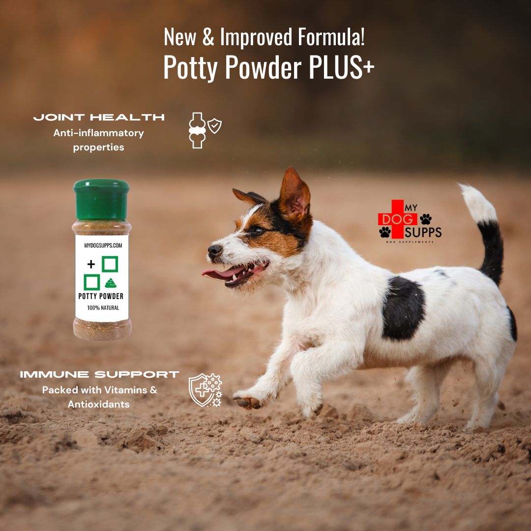 NEW Potty PLUS+