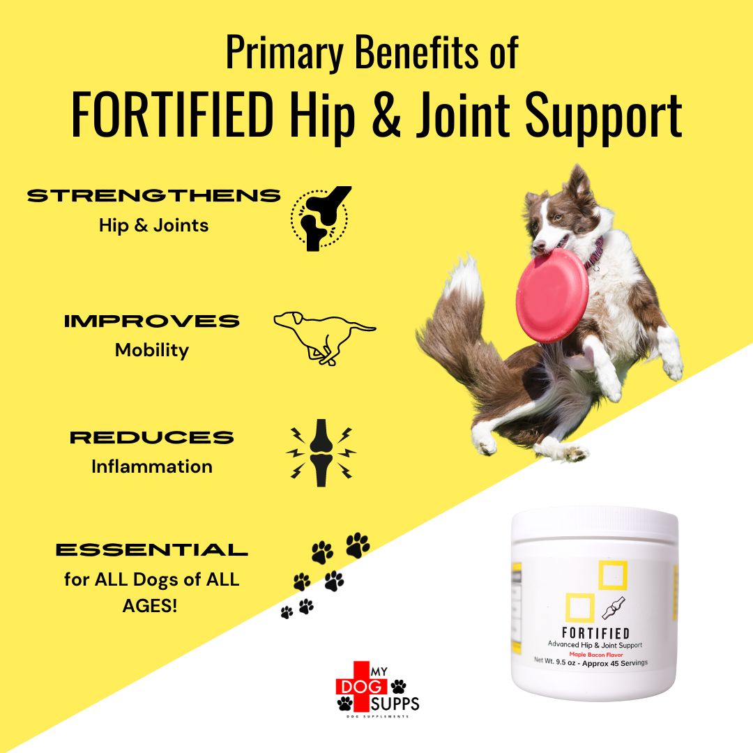 Fortified Advanced Hip & Joint Support