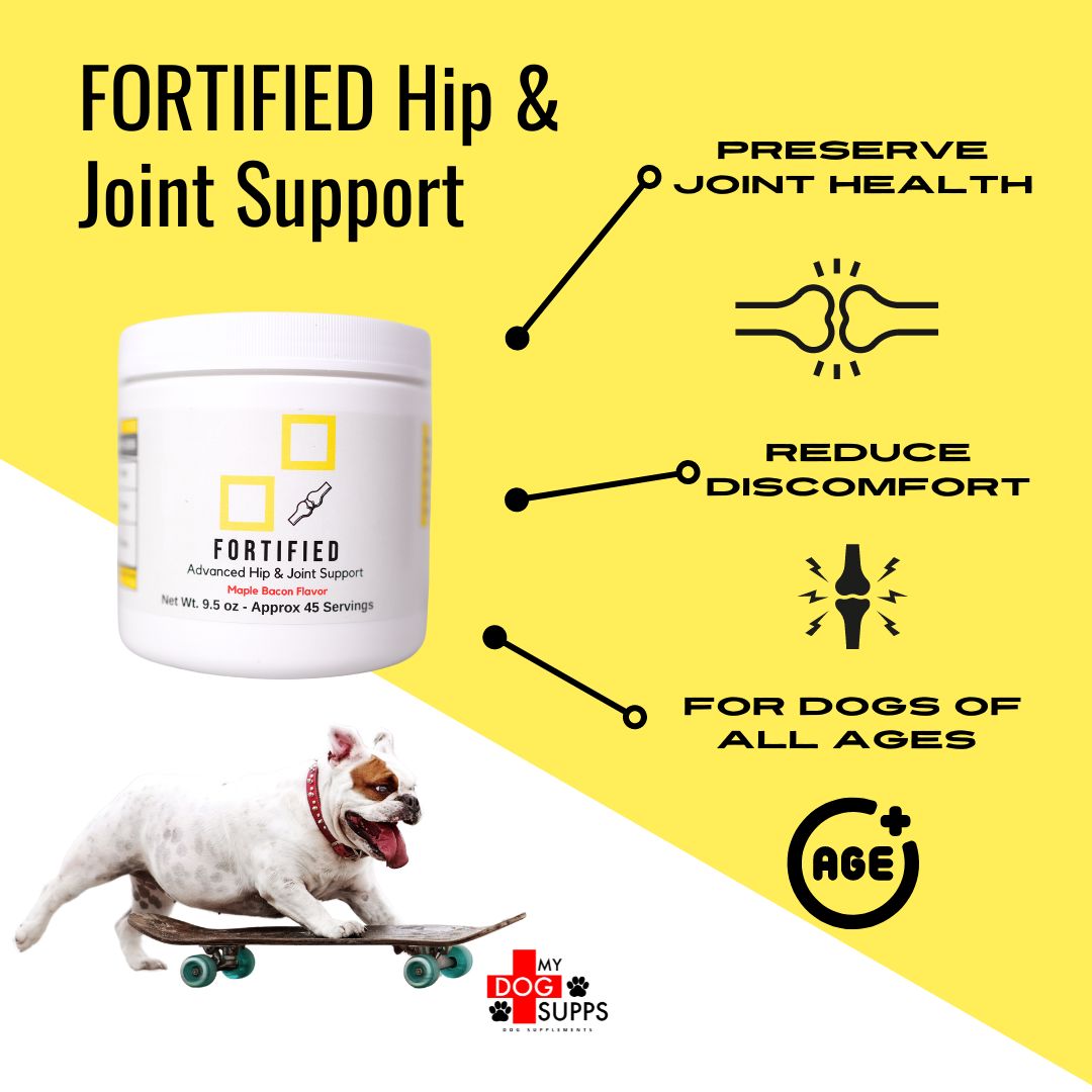 Fortified Advanced Hip & Joint Support