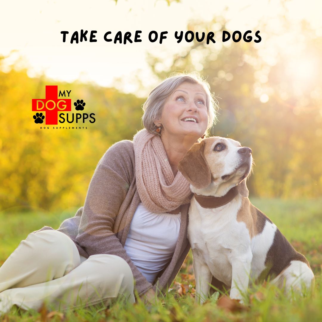Trusted by pet parents for holistic, natural dog wellness and daily vitality