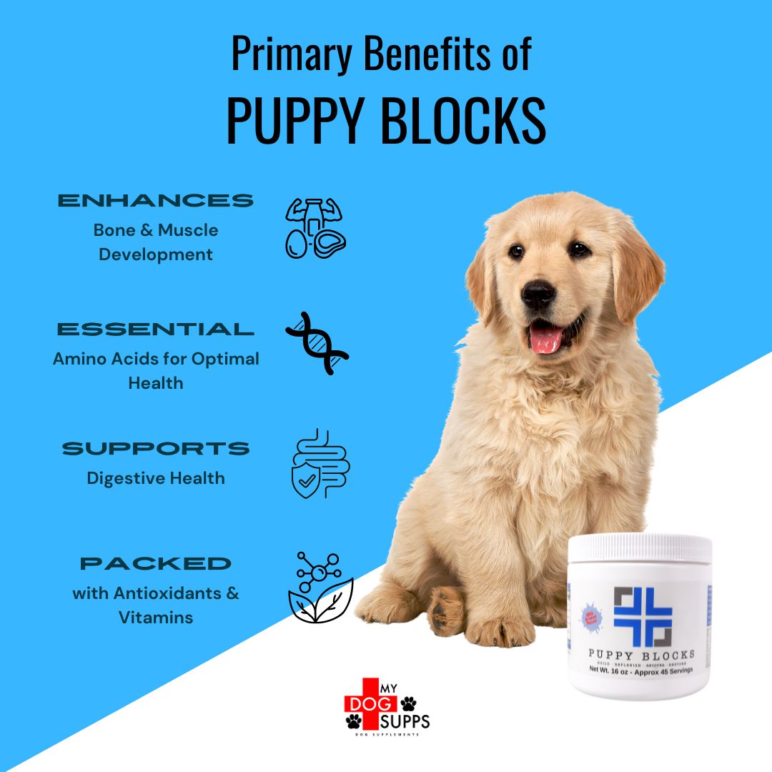 Puppy Blocks Amino Blend